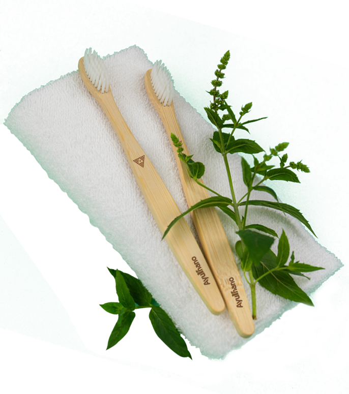 bamboo india