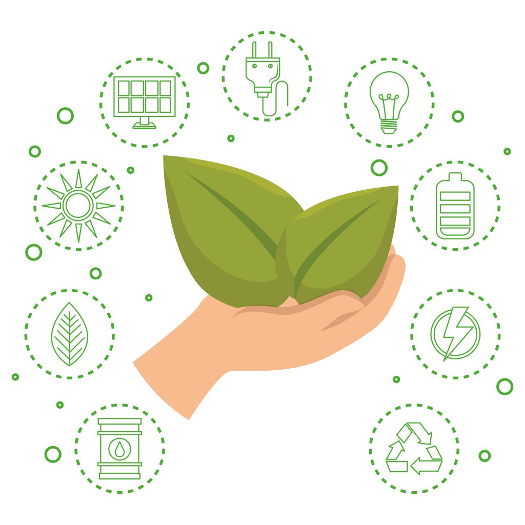 Shopping for a Better Future: How to Identify Sustainable Products