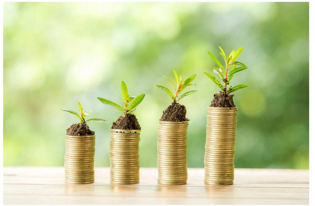 For those looking to invest in sustainable and environmentally-friendly products