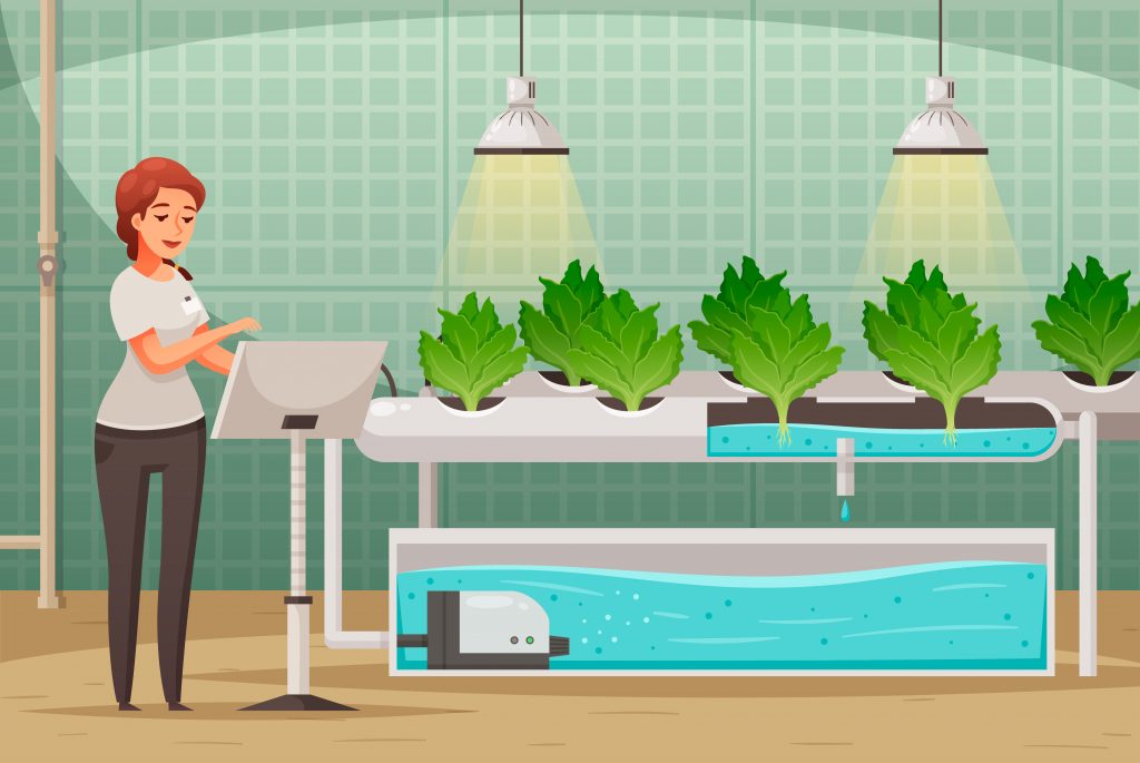Revolutionizing Agriculture: The Advantages and Benefits of Hydroponics