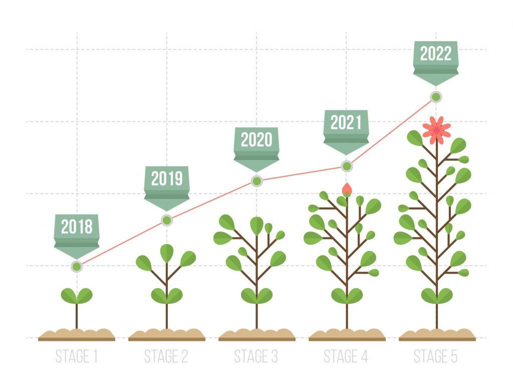 The Rise of Organic Products: A Trend for Health and Sustainability