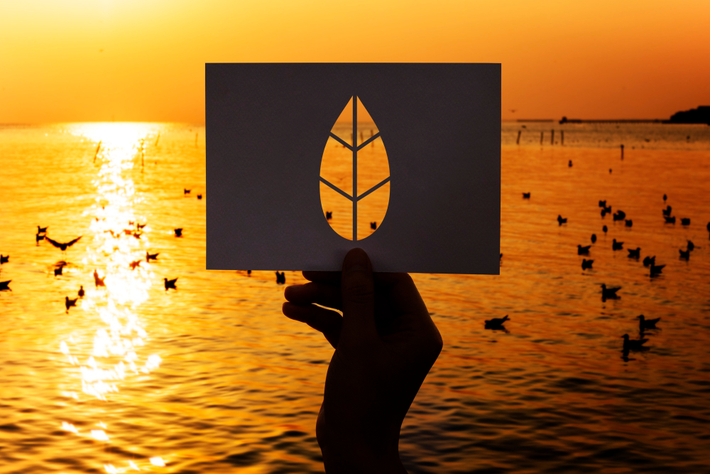 Biodiversity And Wildlife Protection