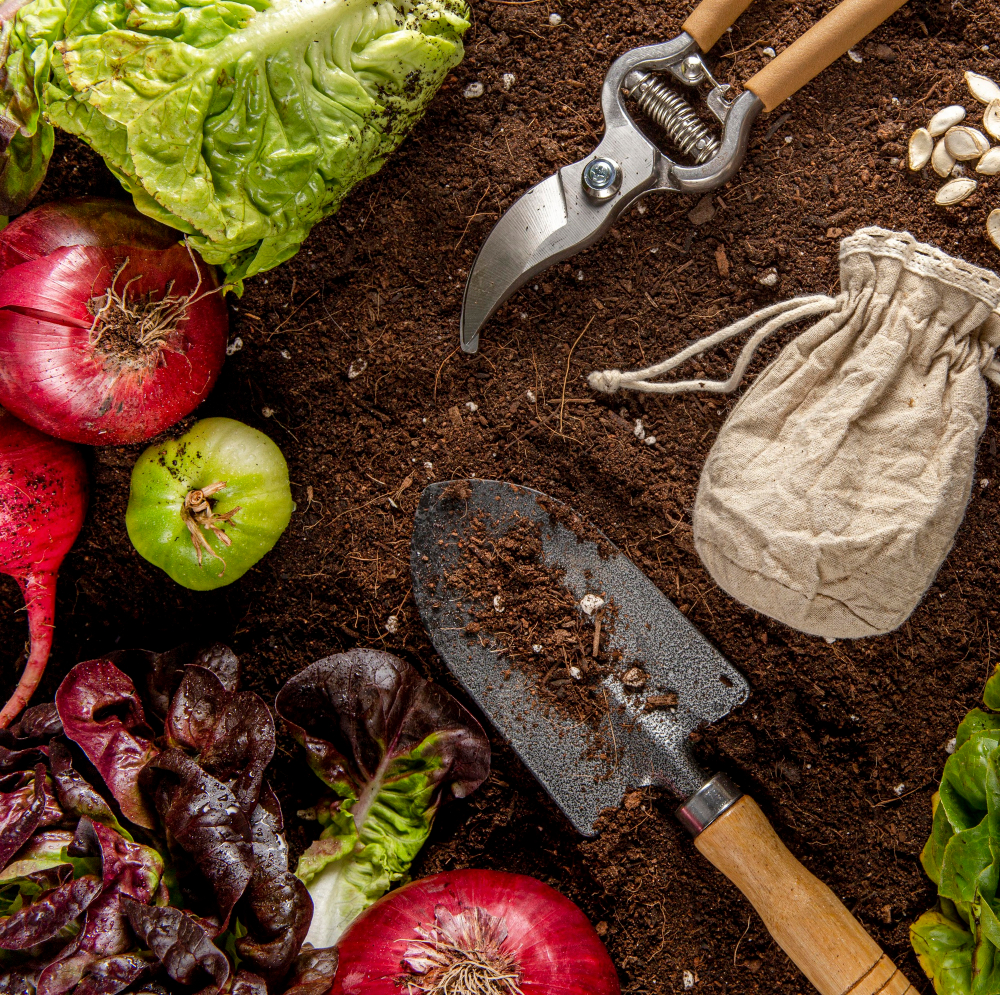 Organic Gardening : Tips for Growing Your Own Chemical-Free Produce